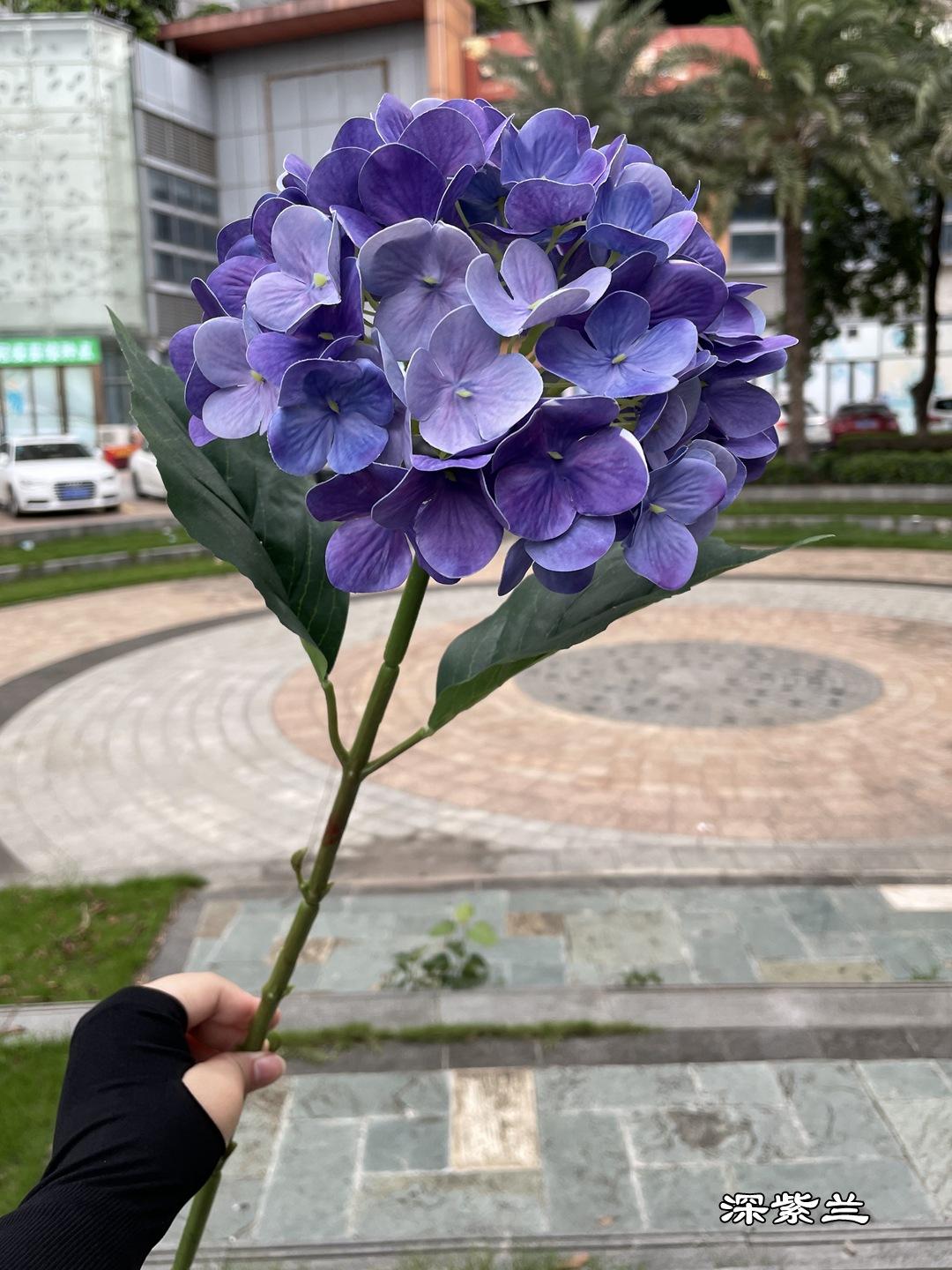 微信图片_20210815180855