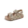 Sandalias Abiertas de Estilo Francés para Niños 2026 Nuevo Modelo de Verano para Niños y Niñas, Zapatos Deportivos Casuales de Suela Suave para Playa y Uso al Aire Libre