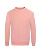 Estilo Otoño Invierno Sudadera con Capucha Deportiva Personalización Color Sólido Patrón Estampado Personalizado Logo Bordado Ropa de Trabajo Venta al por Mayor