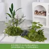 [Serie Huair de Tres Caracteres] Musgo Artificial Simulado Bonsái Planta Verde Decoración Arreglo Exhibición de Ventana Bonsái