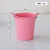 Balde de lata cor de doce, vaso para suculentas, balde de brinquedos, balde de praia, porta-pincéis de maquiagem e canetas, balde criativo para organização de mesa