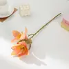 Flores para Decoración del Hogar, Flores de Algodón, Pared de Fondo para Bodas, Arreglo de Ambiente, Flores Artificiales, Decoraciones Festivas, Flores Artificiales al por Mayor
