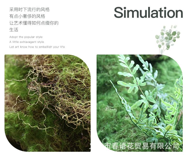 青丝草皮苔藓_03.jpg