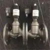 Válvula Solenoide de Acero Inoxidable ZCZP-15-20-25-32-40-50-65-80-100-125-150-200-250
