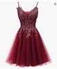Vestido Rosa Corto Fiesta de Cumpleaños Actuación Banquete Anfitrión Boda Moda Compromiso Ajustado