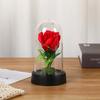 Luz Noturna de Flor Eterna Transfronteiriça com Capa Acrílica para Quarto Cabeceira Ornamentos de Rosa Presente de Dia dos Namorados Aniversário