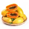 Dropshipping Corazón Rojo Leche Papaya Fruta Fresca Envío Gratis Fruta de Temporada para Mujeres Embarazadas Azúcar de Roca Cáscara Verde Nieve Papaya