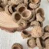 Decoraciones de Bellotas Adornos Mini Cápsulas de Loto Flores Secas Paquete Guardería Ramas de Bosque Materiales Hechos a Mano Temática de Bosque para Manualidades DIY