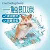 Almofada de Resfriamento para Hamster Tapete Refrescante de Verão Tapete de Resfriamento de Cristal Hamster Dourado Coelho Pet Almofada de Resfriamento Gadget