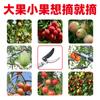 Tijeras telescópicas para recolectar fruta de gran altura tijeras para recolectar fruta recolector de fruta Caqui lichi longan níspero herramientas Tijeras para recolectar fruta de rama alta