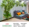 Folhas, galhos, videiras, flores artificiais, trepadeiras, canos, pilares, plantas trepadeiras, plantas verdes, plantas de parede, cobrindo imperfeições, decorações