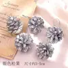 Pacote de Material de Flores Secas Espécime Jardim de Infância Casca de Fruta Caseira Flor Seca Bolota Porta-Retrato Espécime Pinha Porta-Retrato DIY Feito à Mão