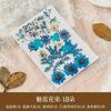 Bolsa de Material para Repujado de Flores Secas Transfronteriza Cara Pétalo Maquillaje Hoja Adhesivo Espécimen de Planta Flor Real Hecho a Mano Material DIY