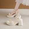 Tacones Altos Franceses Estilo Hada Tacón Grueso Verano 2025 Nuevo Estilo con Falda Sandalias de Suela Gruesa para Mujer Tacones Altos para Mujer