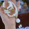 Venta al por mayor de fábrica Jade Blanco Bodhi 108 cuentas cuentas Raíz de Bodhi Blanca semilla original pulsera pulsera para pareja joyería