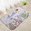 Alfombra de piso para baño de franela nórdica transfronteriza, alfombra gruesa a prueba de frío de conejo para dormitorio, alfombra doméstica resistente a las manchas, resistente al desgaste, antideslizante
