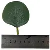 Planta verde artificial folhas de eucalipto, folha única, folha de três pontas, folha de quatro pontas, acessórios de guirlanda impressos em seda