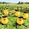 Ornatos Criativos para Micro-Paisagens de Musgo, Novos Acessórios de Boneco Pato com Chapéu de Formatura Grande, Artesanato de Resina para a Temporada de Formatura