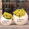 Maceta redonda de estilo europeo de plástico reforzado con fibra de vidrio Maceta cuadrada creativa y hermosa para calle comercial Decoración de paisaje de jardín al aire libre Cuenco para flores