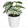 En Stock Hoja Única de Planta Verde Plástico Bonsái Decoración del Hogar Amazon Escritorio Maceta Adorno Pequeño Fabricante de Comercio Exterior