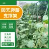 Treliça para escalada, treliça para uvas, treliça para rosas de jardim externo, jardineira de pátio, estrutura para cultivo de pepino e feijão trepadores