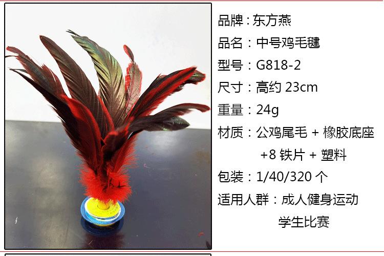 大中小公鸡毛-恢复的-恢复的_04