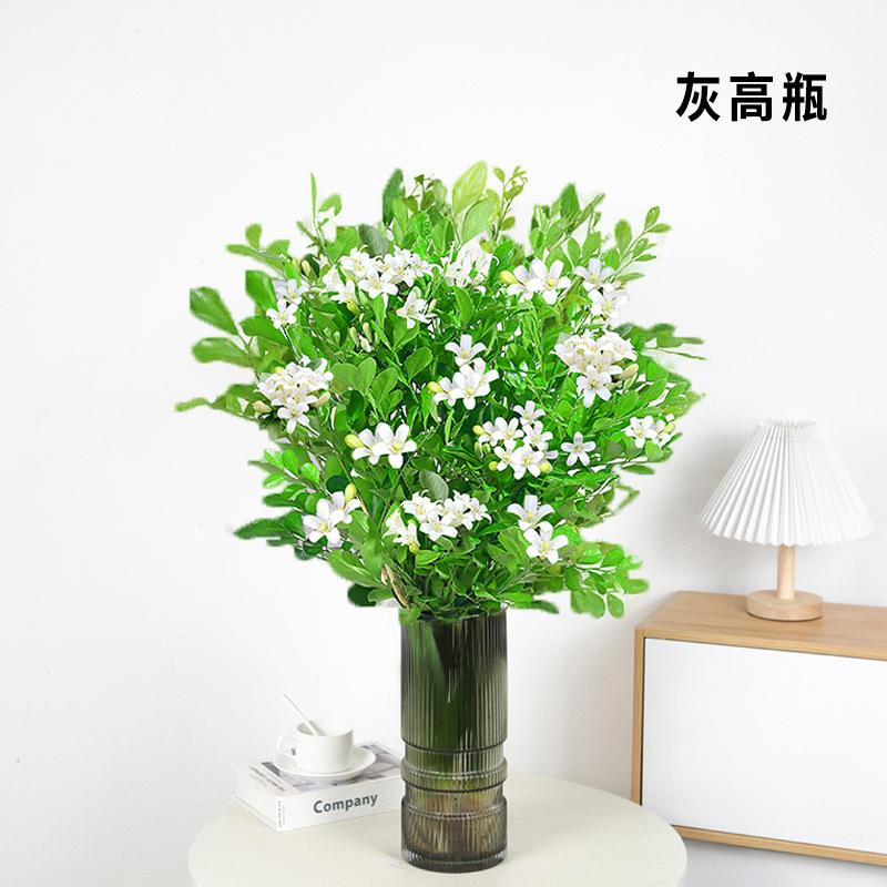 帮手SKU图-九里香水培盆栽苗办公室内桌面七里香绿植物千里眼