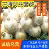 Bolsa de Fruta de Jade Blanco Transpirable a Prueba de Insectos Dulces Bolsa de Película Delgada con Orejas para Drenaje Bolsa Especial para Granada de Semilla Suave Blanca