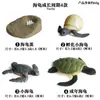 Modelos Realistas de Animales Marinos Transfronterizos: Tiburón Azul, Megalodón, Tiburón Ballena Gris, Tiburón Blanco, Tiburones Martillo Juguetes