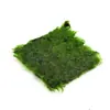 Aquário Paisagismo Malha Musgo Triângulo Grande Limpar Musgo Árvore Cauda de Fênix Musgo Madeira Morta Samambaia Estranha Cristal Grama Viva