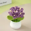 Producto Terminado: Flores Artificiales de Nomeolvides Tejidas a Crochet Puras Hechas a Mano, Flores de Hilo de Crochet Hechas por Uno Mismo, Regalo de San Valentín, Regalo de Cumpleaños, Regalo de Graduación
