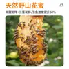 Cebo de Miel Fermentada, Camote, Maíz y Grano Estilo Occidental para Pesca de Carpas Grandes