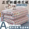 Estilo minimalista japonés Clase A algodón lavado algodón de Xinjiang colcha colcha desmontable lavable núcleo de colcha regalo colcha de invierno estudiante colcha de primavera y otoño