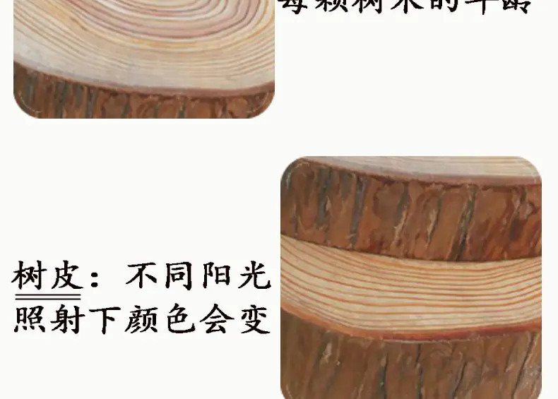 页头_03.jpg