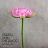 Folha de Lótus Atacado Dança Galho Longo com Haste Decoração de Folha de Lótus Adereços para Piscina Adereços de Performance Metabo Metabo