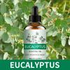 Fragancia Duradera Aromaterapia a Base de Plantas Aceite Esencial Lavanda Árbol de Té Difusor de Fragancia Única Paquete de Recarga de Gran Capacidad