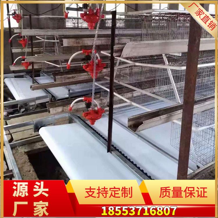 粪带17
