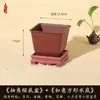 Vaso Quadrado Criativo Planta Suculenta Árvore da Fortuna Bonsai Jardinagem Especial Vaso de Flor de Resina Vaso de Plástico Simples