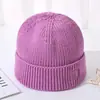 Nuevo Sombrero de Otoño e Invierno Letra Bordada Sombrero de Lana Moda para Hombres y Mujeres Sombrero de Punto Cálido Cortavientos Versátil de Moda