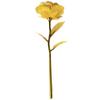 Cor Folha de Ouro 24K Rosa Cravo Dia dos Namorados Dia das Mães Festival Qixi Simulação Luminosa Flor Preservada