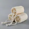 Suprimento Pronto de Bucha de Cozinha Pano de Lavar Louça, Pano de Limpeza com Polpa de Bucha, Escova para Panelas, Escova para Copos, Esponja de Bucha em Segmento