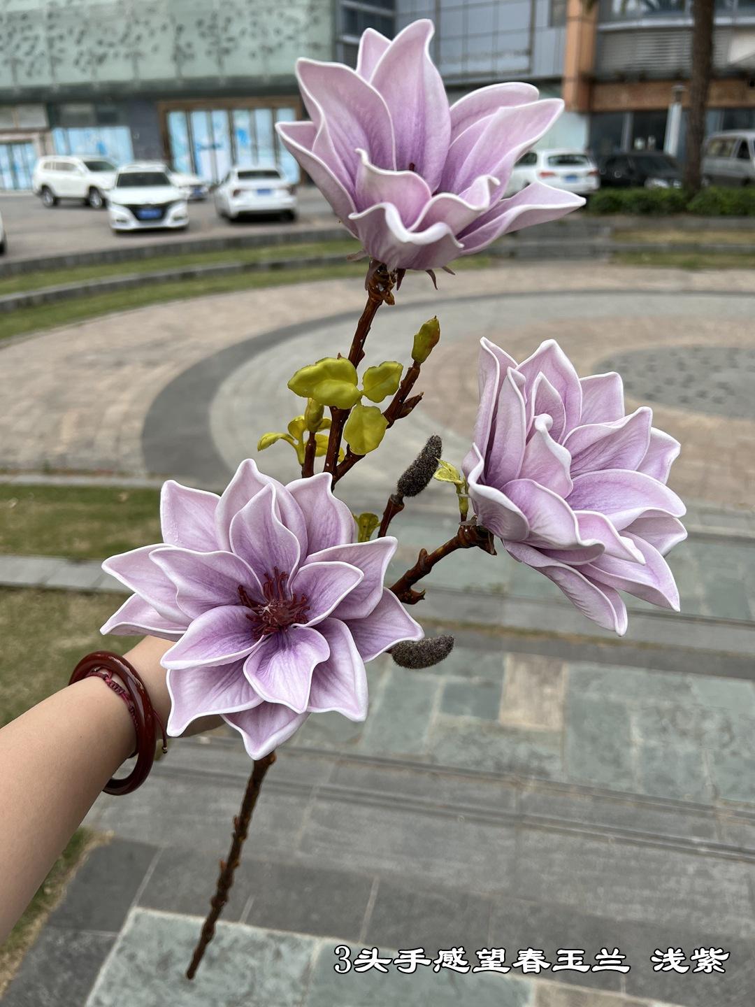 微信图片_20230319093059.jpg