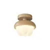 Luz de Pasillo Piña Crema Viento Tronco Entrada Luz de Techo Moderna Simple Protección Ocular Pasillo Vestidor Luz de Espectro Completo