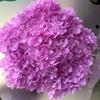 Anna Hydrangea Hydrangea Hydrangea Flor eterna flutuante Flor seca Decoração para casa Fábrica de Yunnan Atacado Frete grátis