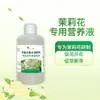Solución Nutritiva Especial Jazmín de Ocho Hombres Viejos: Suplementa Nutrientes, Fortalece la Inmunidad, Fertilizante Soluble en Agua, Previene el Agrietamiento de Frutas