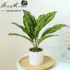 Flores Artificiais, Folhas de Plantas Artificiais, Bonsai Grande, Pequenos Enfeites Criativos para Interior, Plantas Verdes Artificiais, Plantas em Vasos, Amazon