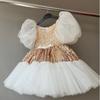 Vestido Puff com Lantejoulas para Crianças de Comércio Exterior Vestido para Florista Bebê Aniversário Vestido de Princesa para Anfitrião de Comércio Exterior Vestido Infantil