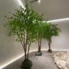 Árvore de Sino Simulação Planta Verde Grande Japonesa Design de Interiores Janela Cavalo Bêbado Madeira Nórdico Vento Nis Árvore Falsa Decorativa