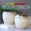 Vaso de Flores Cerâmica Tamanho Grande Doméstico com Prato Personalidade Simples Formato de Ovo Plantas Verdes Jiboia Planta Aranha Pequena Suculenta Vaso de Flores Preço Especial
