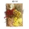 Flores Secas DIY Flores Imortais Pétalas de Flores Naturais Relevadas Pacote de Material Relevado Vela de Aromaterapia Fabricante de Material Floral Atacado